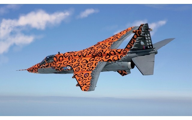 Italeri 1/72 Jaguar Gr.3 "Big Cat" Special Colours