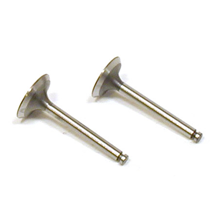 Saito Valve ( in & out ) - FA100