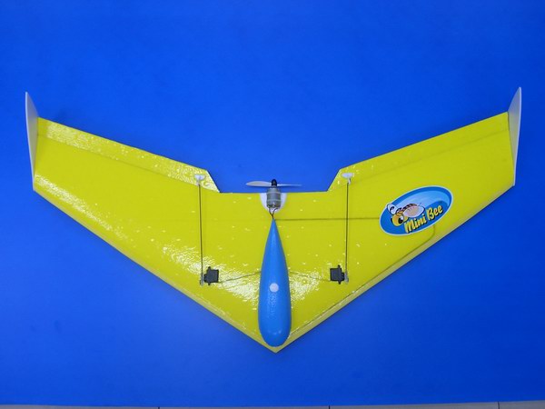 Windrider MINI ELE BEE       800mm (Including Speed 300)