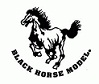 Blackhorse Scale EP Models