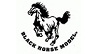 Blackhorse Gas Models