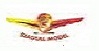 Seagull Aerobatic EP Models