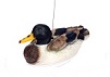 Sport Boats & Crafts