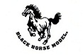 Blackhorse EP Warbirds