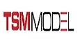 True Scale Diecast Models