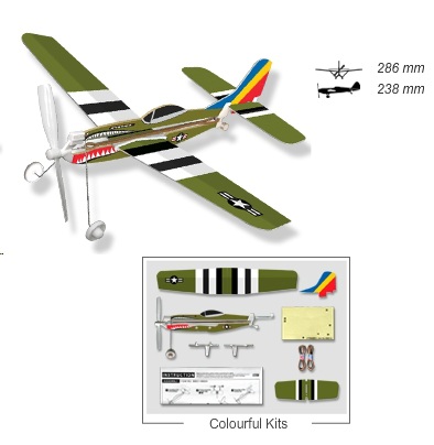 Lyonaeec Series D